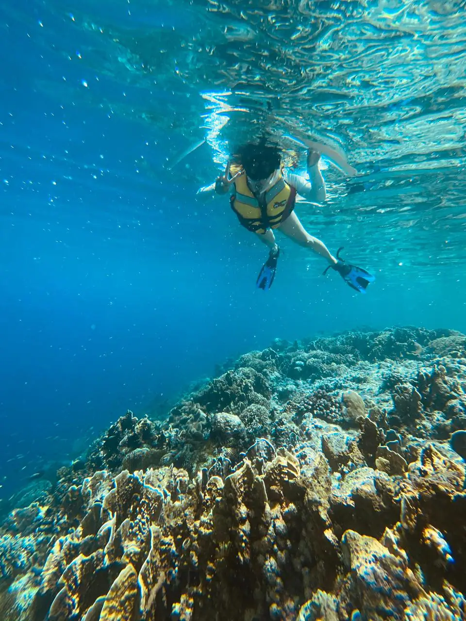Snorkeling in Molana Island | The Yacht Club Indonesia