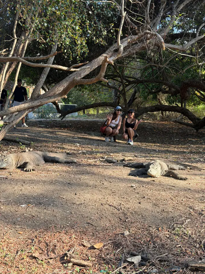 Rinca Island The Natural Habitat of Komodo | The Yacht Club Indonesia