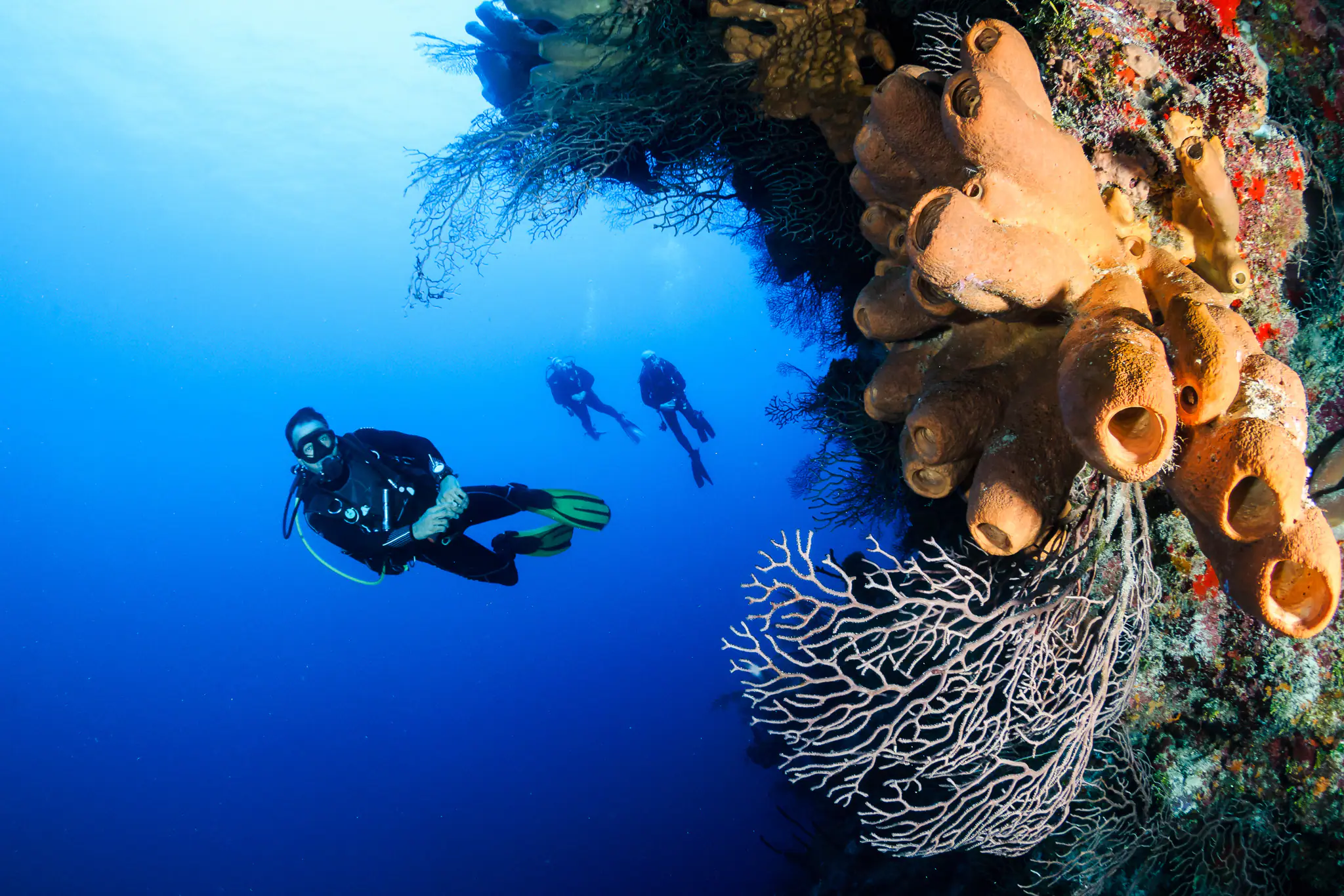 Raja Ampat Underwater Scenery