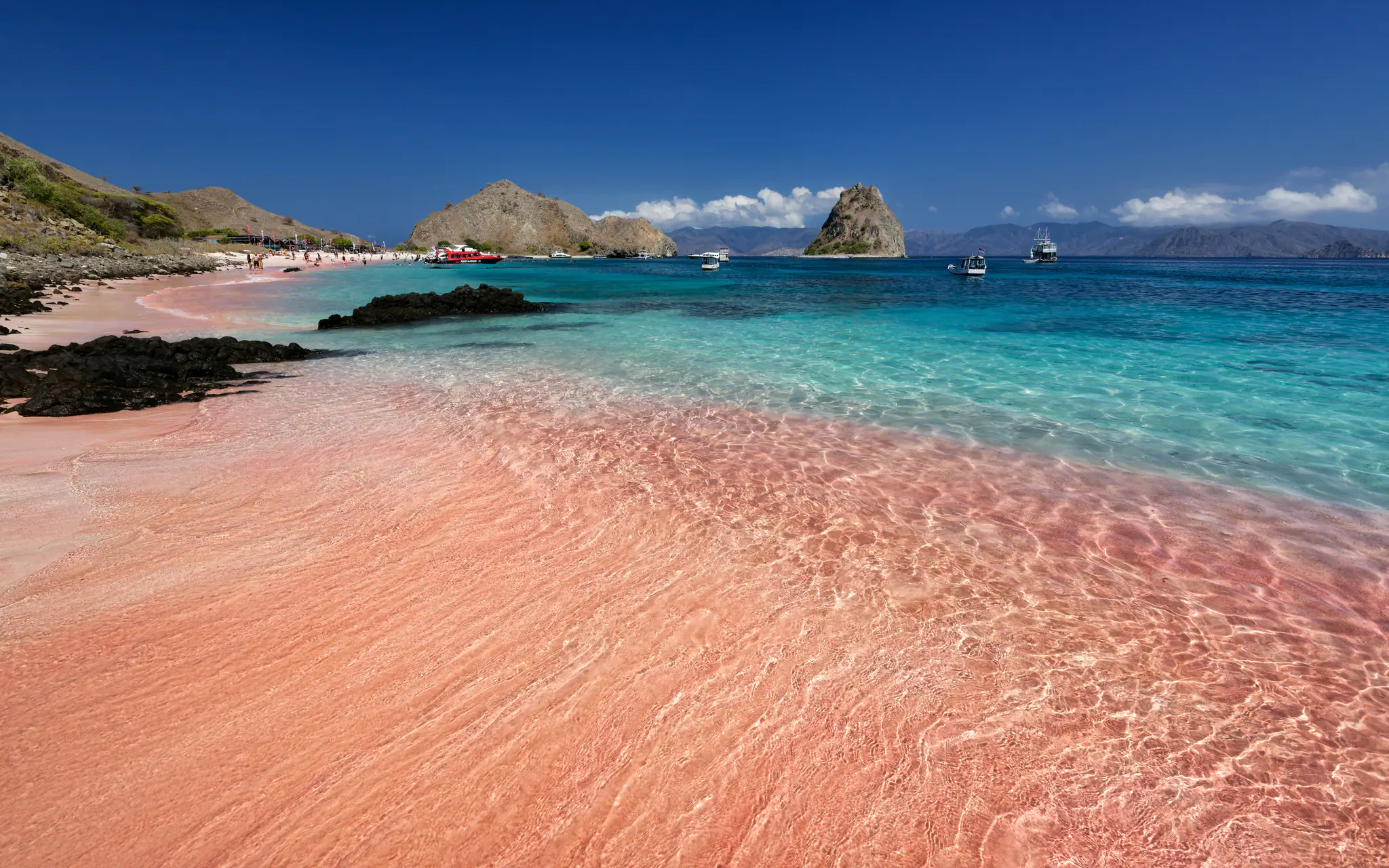 Pink Beach in Komodo Island