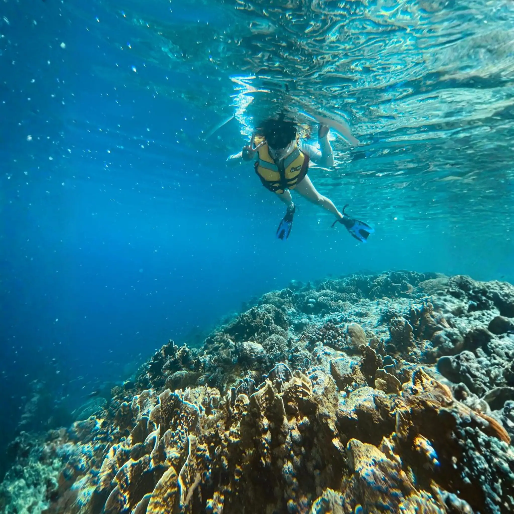 Snorkeling in Molana Island | The Yacht Club Indonesia