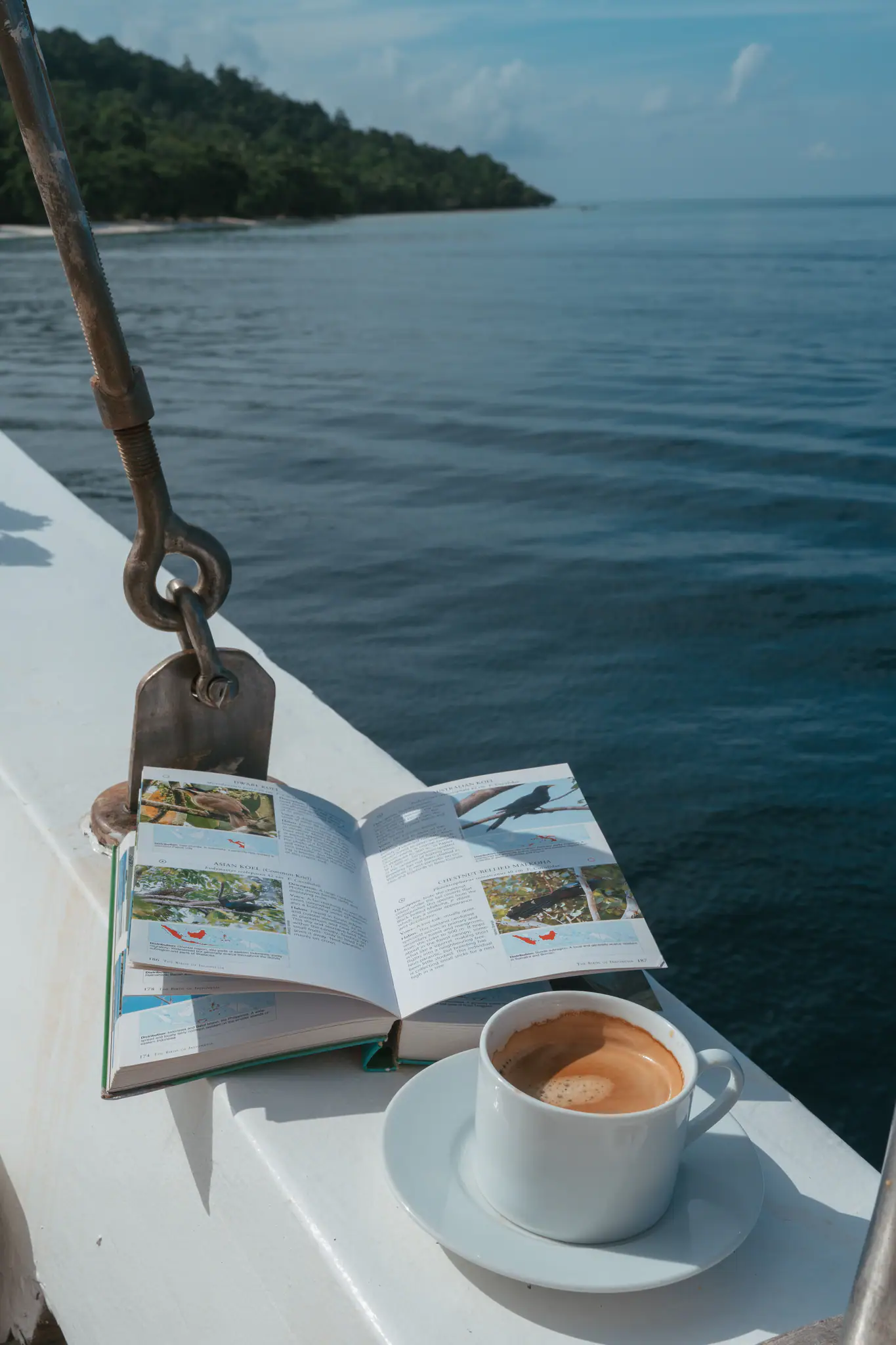 Experience Aboard Aliikai Voyage | The Yacht Club Indonesia