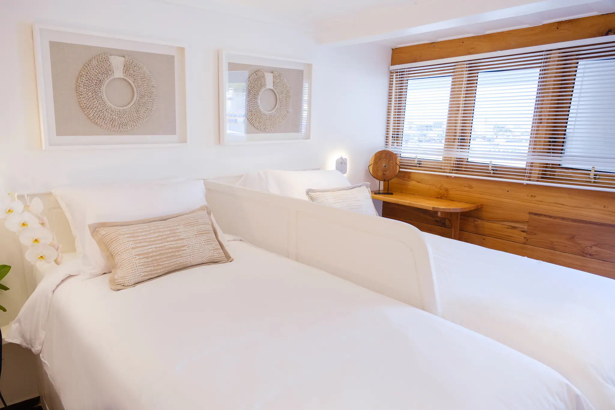 Aliikai Voyage Luxury Yacht - Oceanview Cabin with Windows