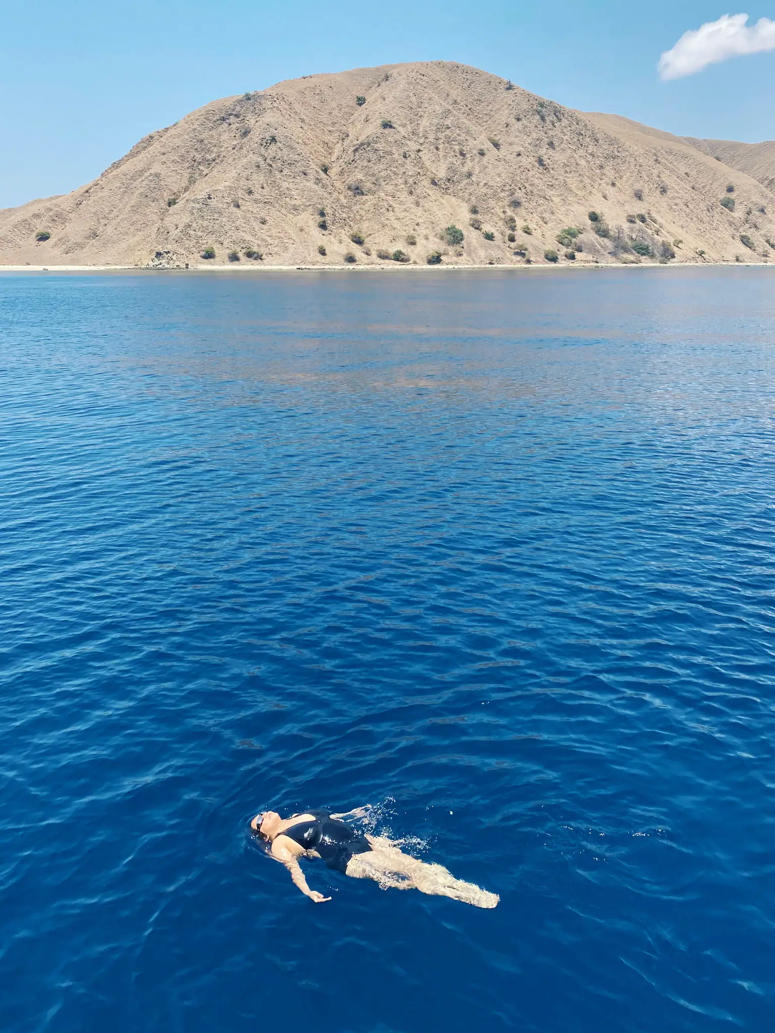Swimming in Komodo Island | The Yacht Club Indonesia