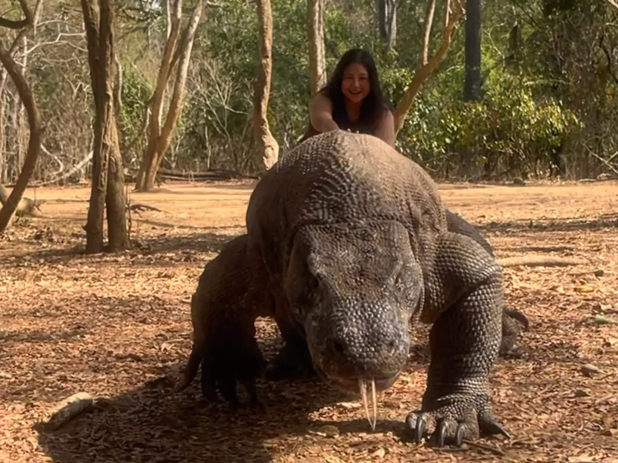 Komodo Dragon Encounter | The Yacht Club Indonesia