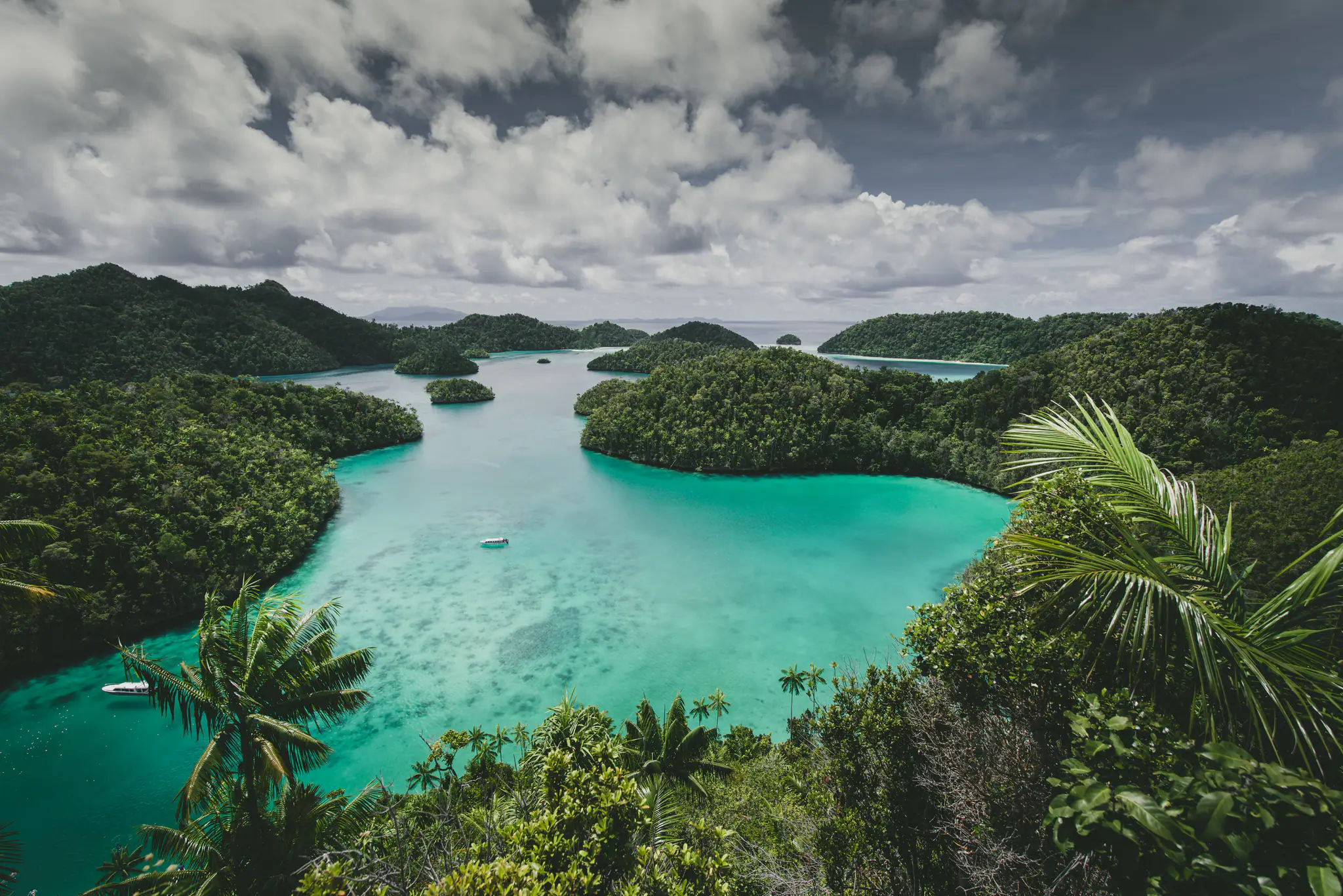 When is the best time to visit raja ampat? | The Yacht Club Indonesia