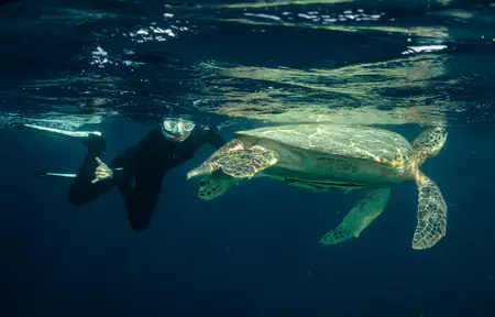 Mutiara Laut Diving Activities | The Yacht Club Indonesia