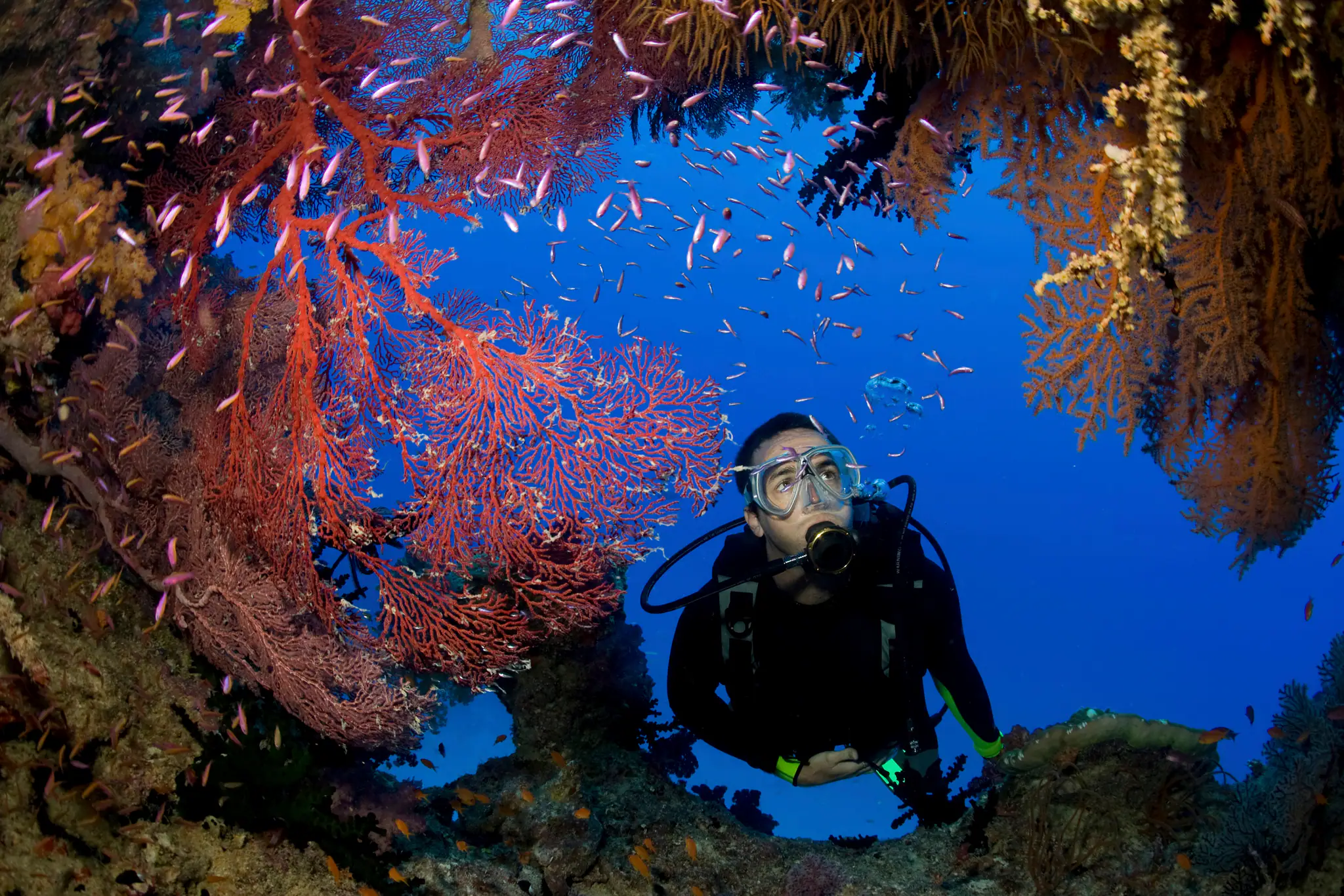 Scuba Divers Entering An Underwater Cave